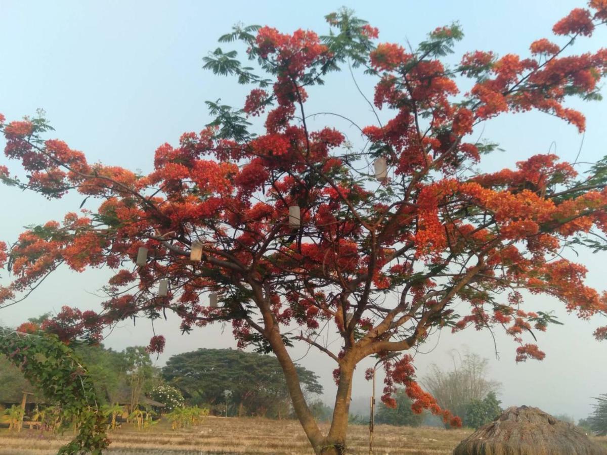 Lodge Phu Pai Art