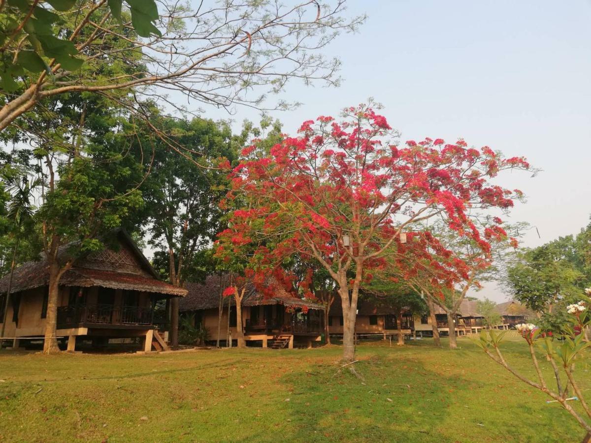 Phu Pai Art