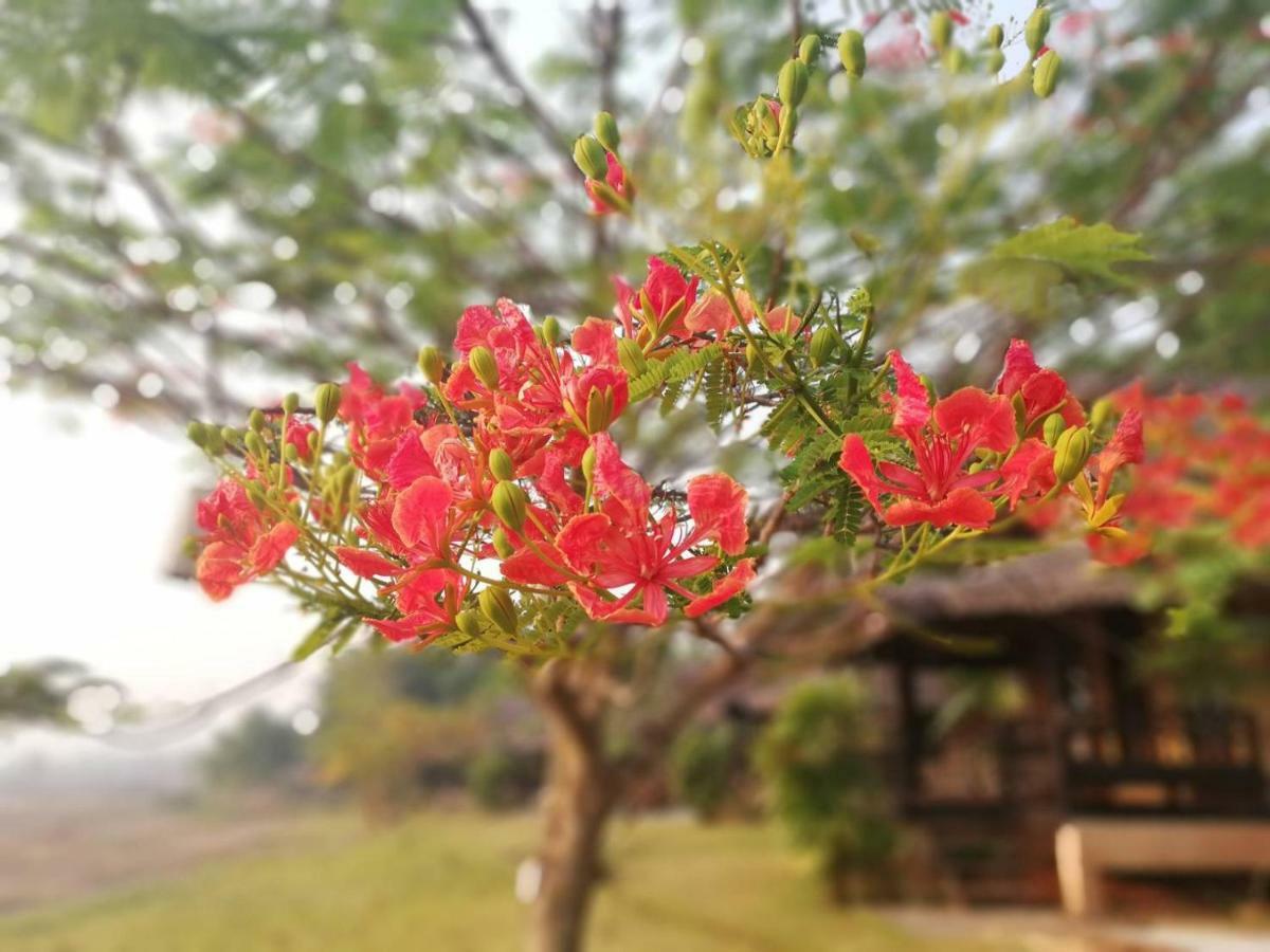 Lodge Phu Pai Art Mae Hong Son