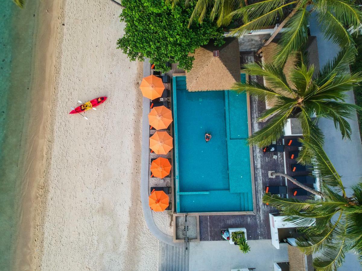 Mimosa & Resort 4*