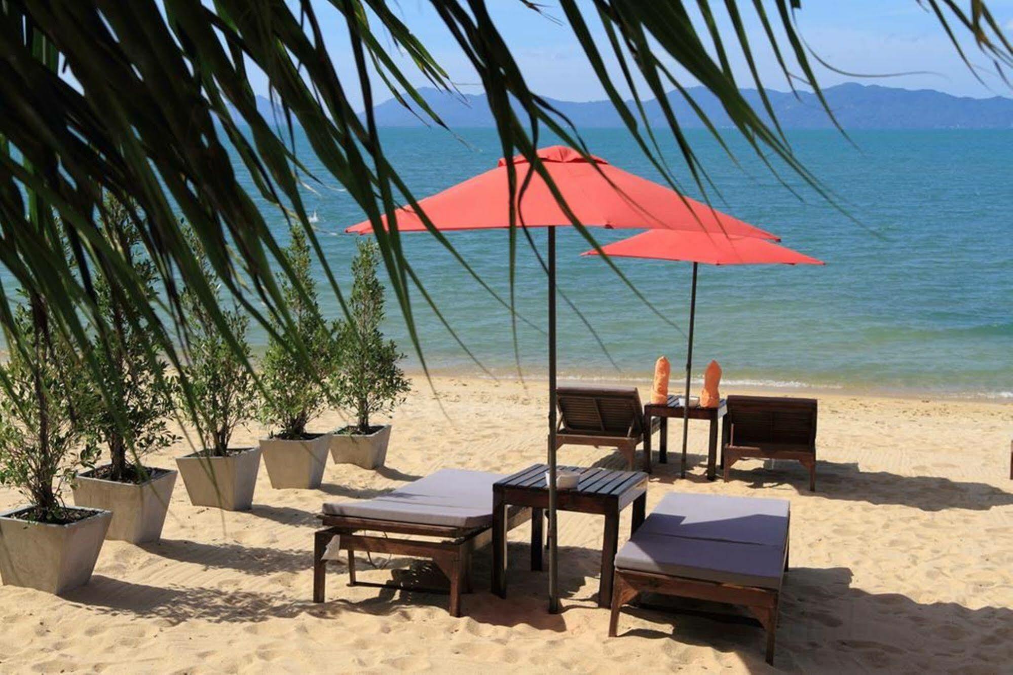 Saona Hotel