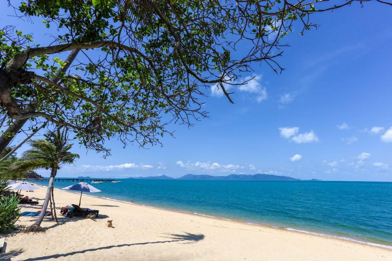 Saree Samui