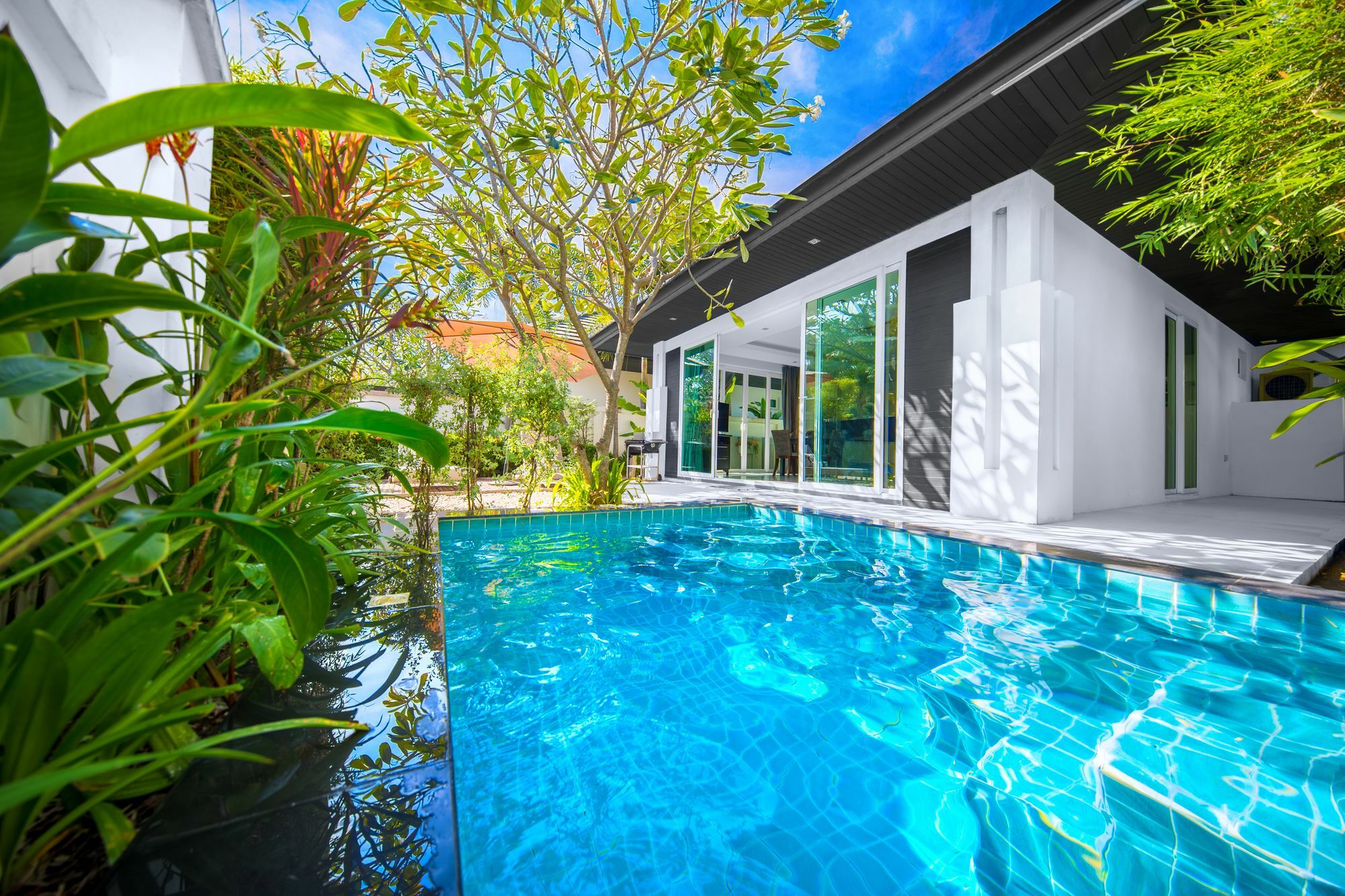 Colibri Pool Pattaya *