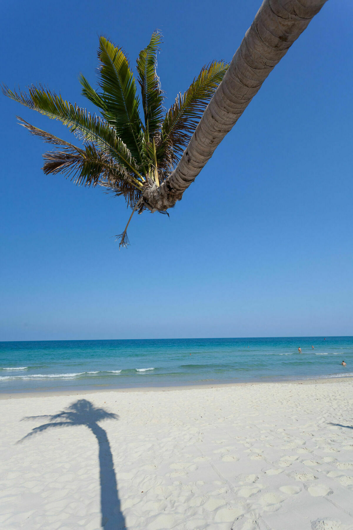 Hotel The Samui Beach 4*