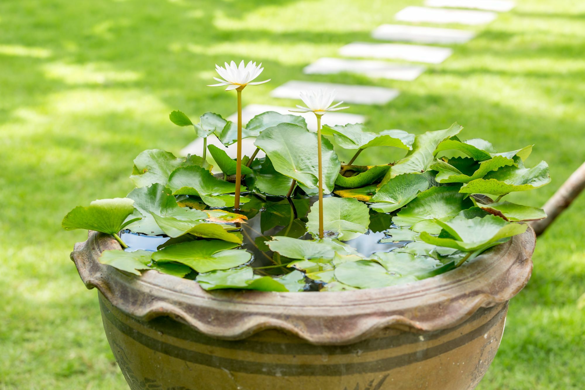 Baan Suaan Serenity Villa