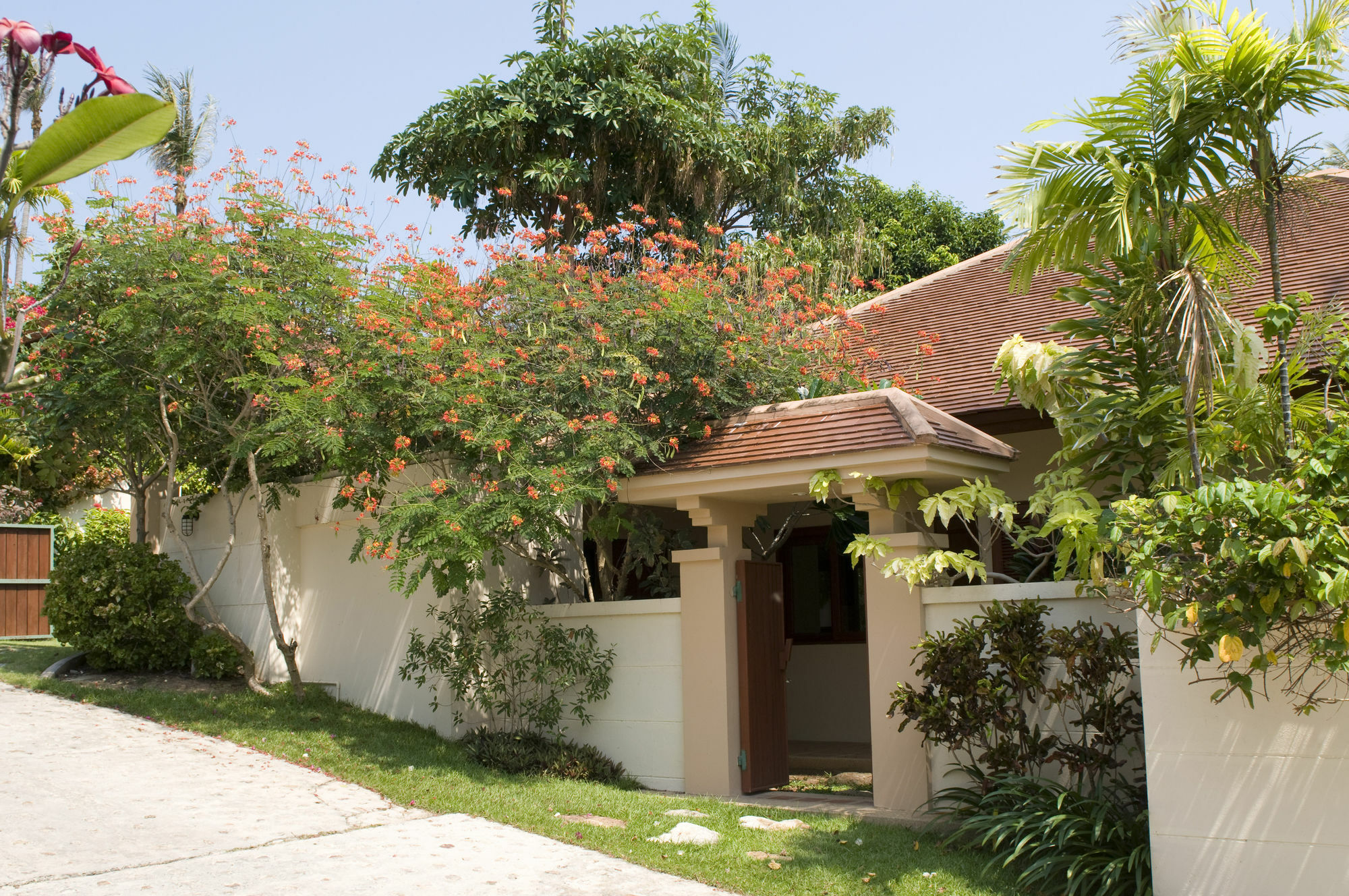 The Plantation * Bophut