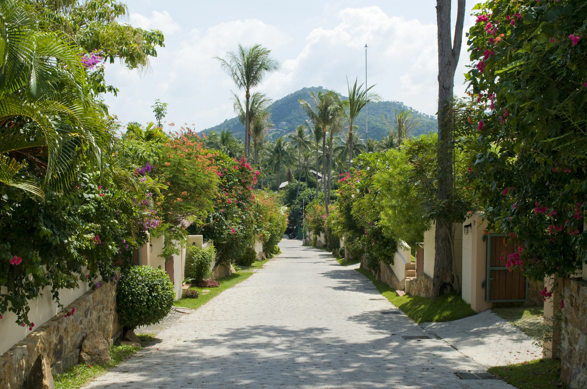Villa The Plantation *
