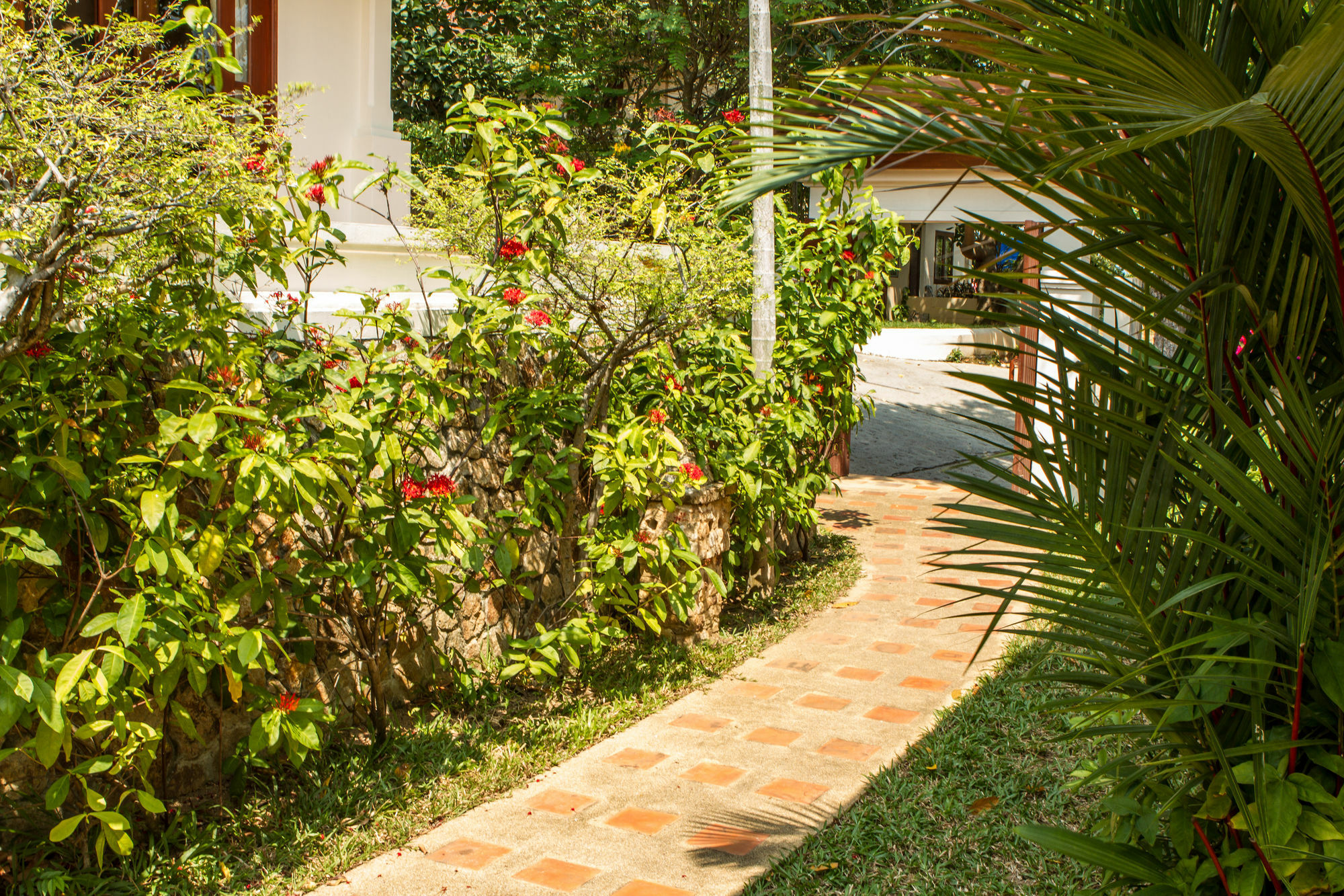 The Plantation Villa *