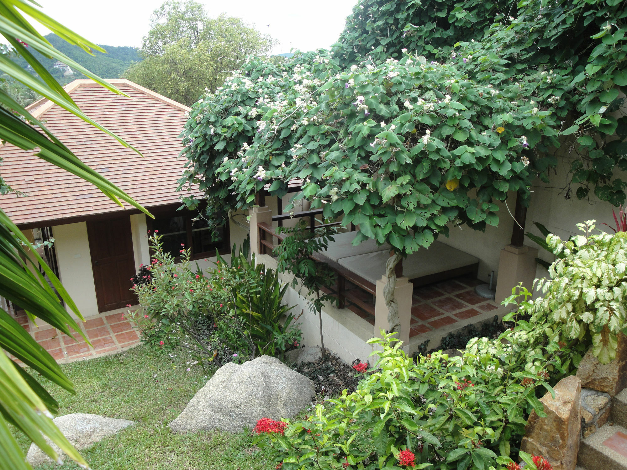 The Plantation * Bophut