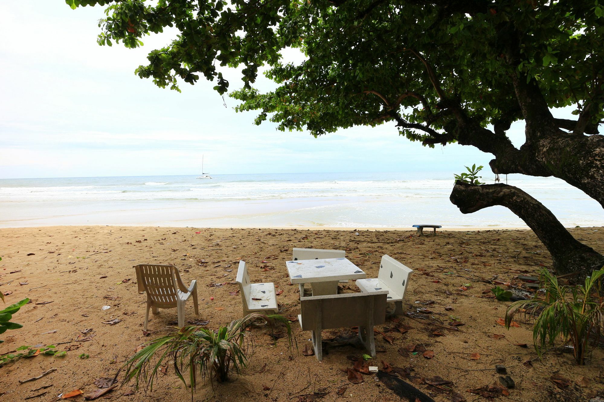 Resort White