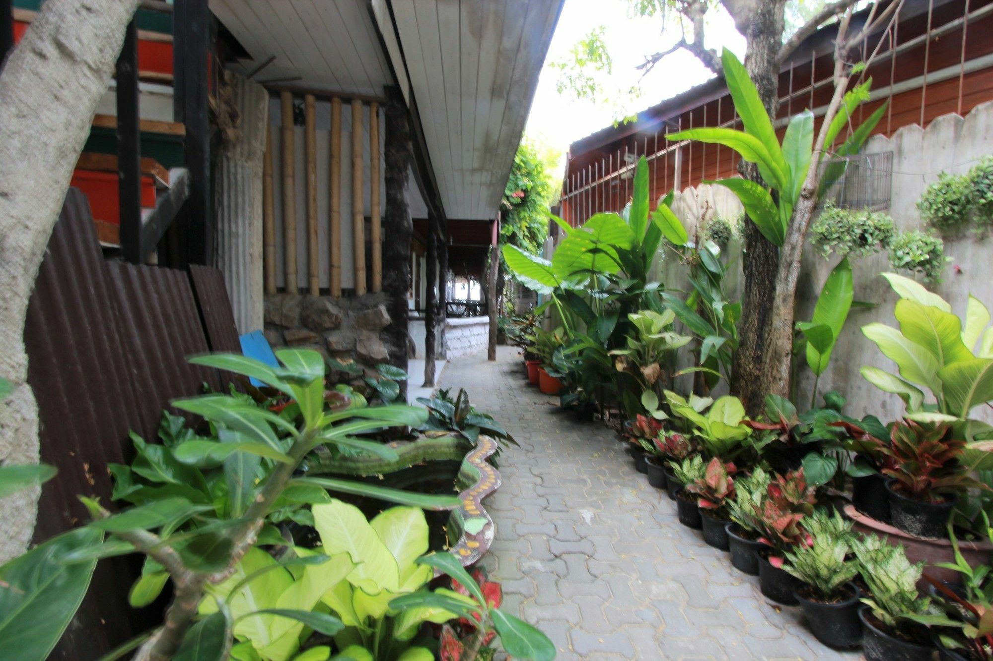Film House 2*
