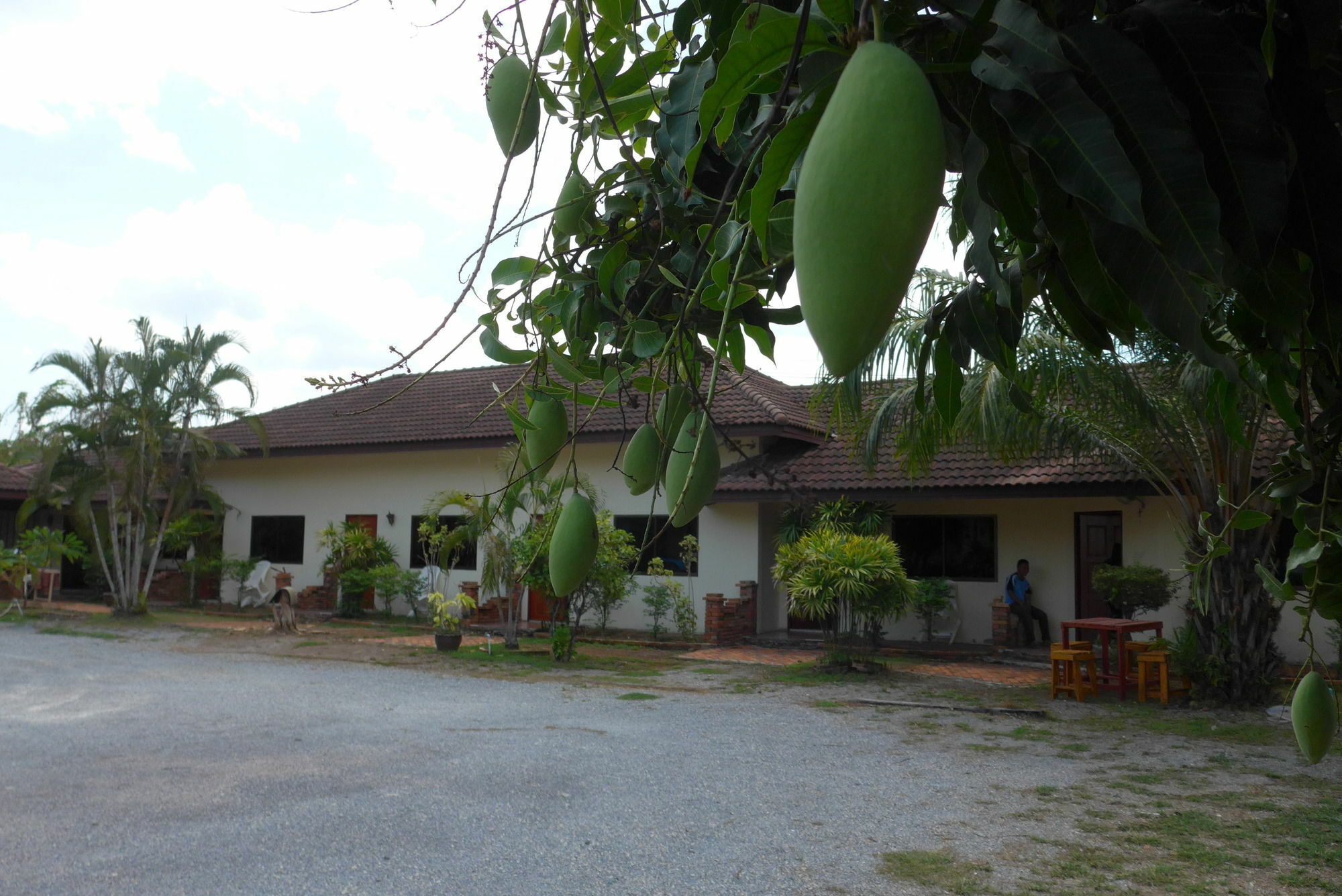 Hotel Forum House
