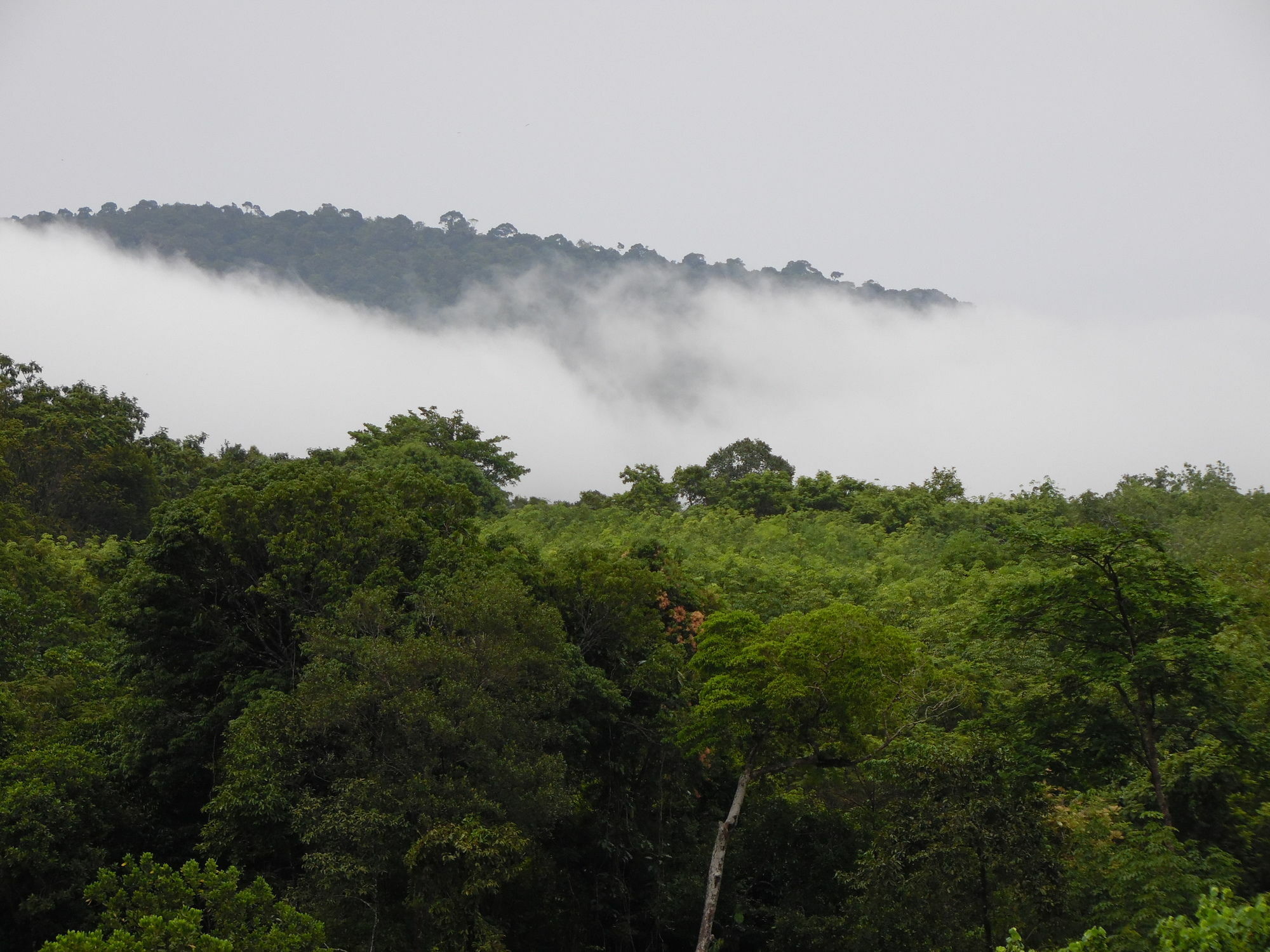 Phu Tubkaek View House Hotel