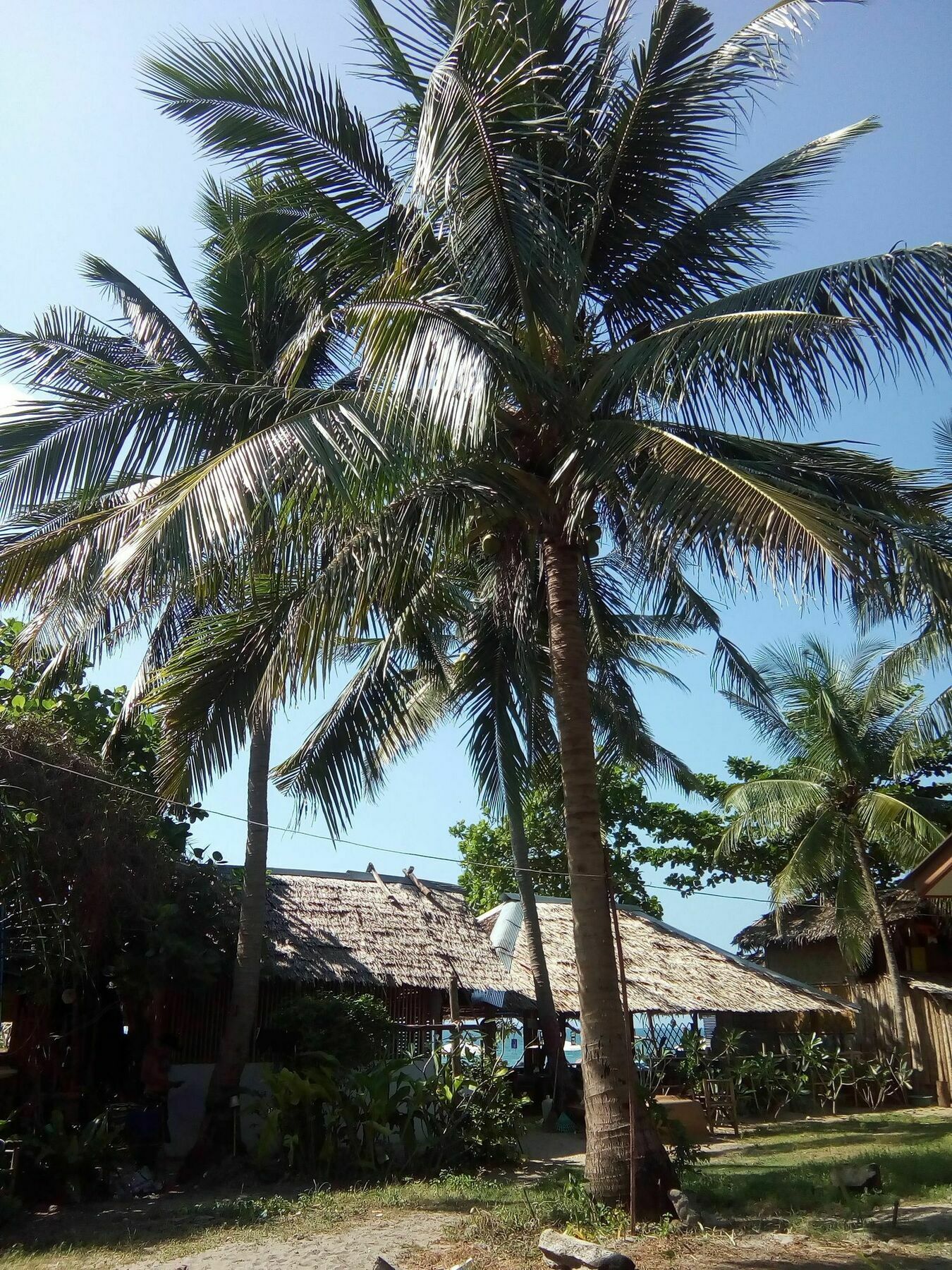 Relax Hotel