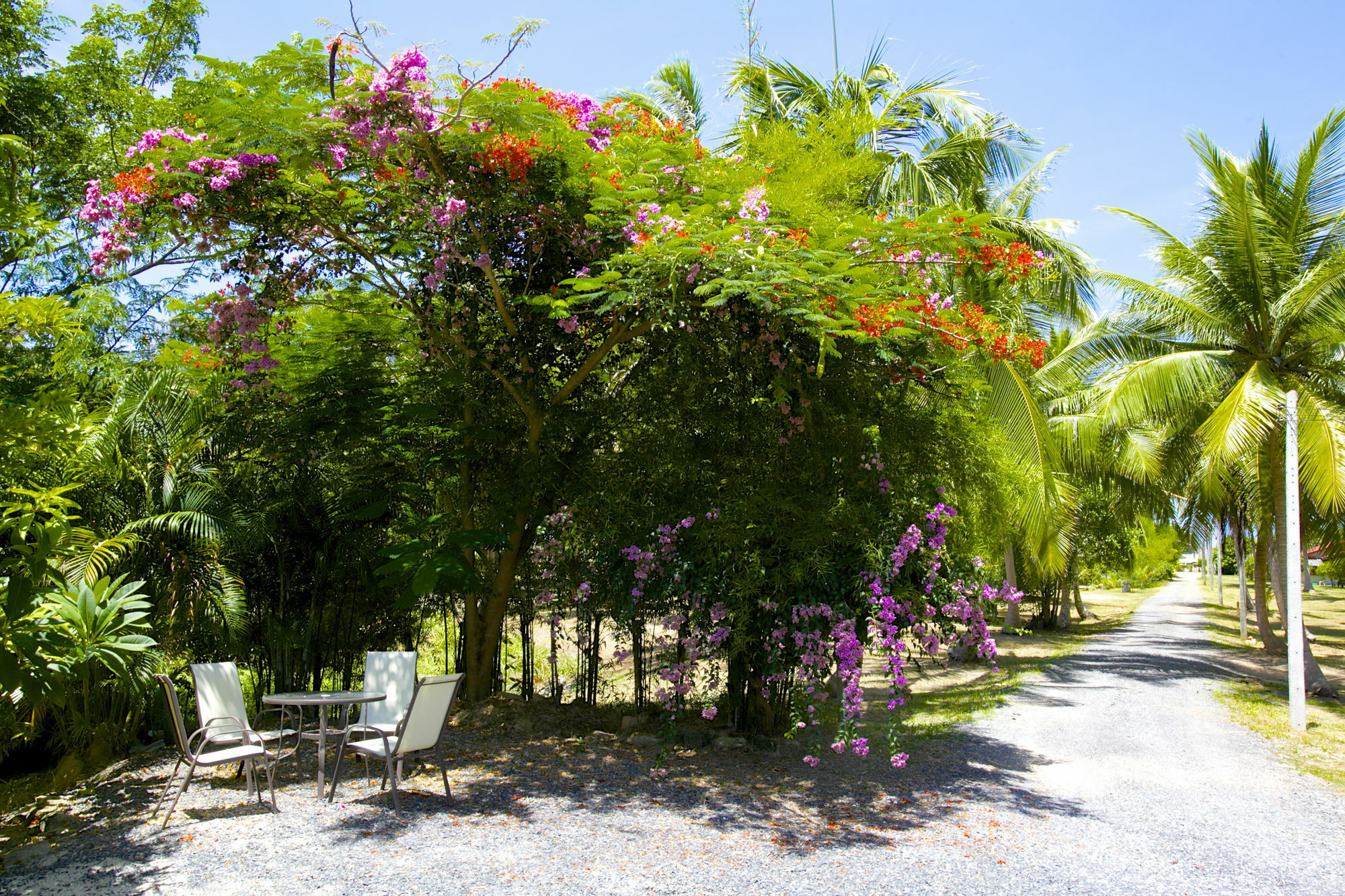 Avalon Villa