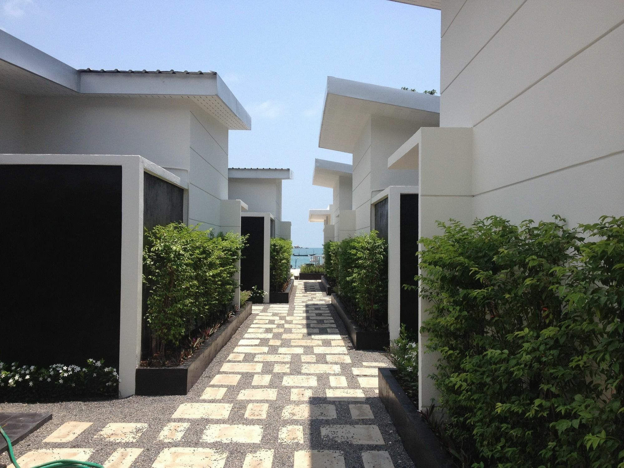Limelight Village
