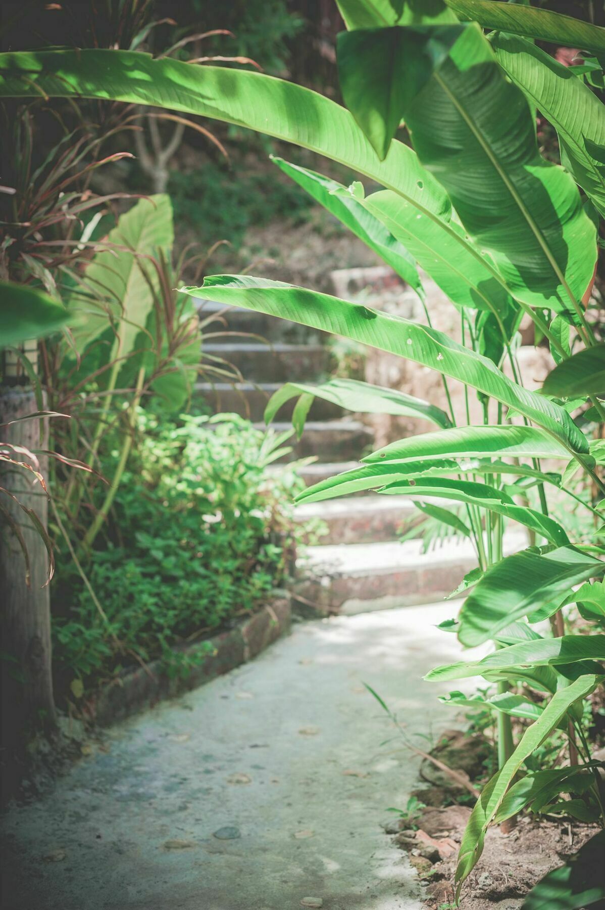 Niramon Sunview 3* Ko Pha Ngan