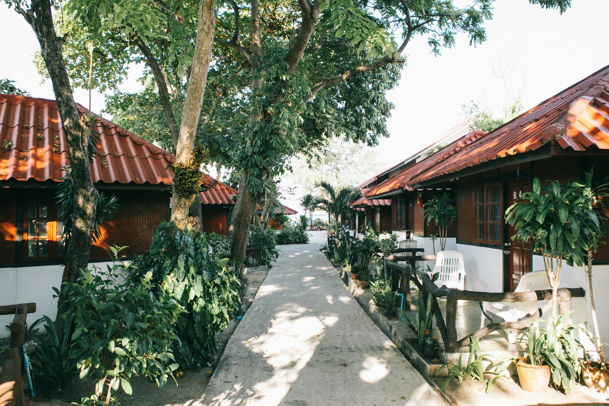 Haadrin Ko Pha Ngan