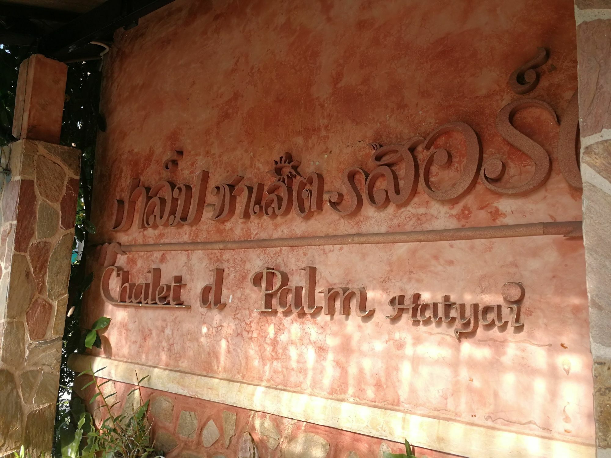 Palm
