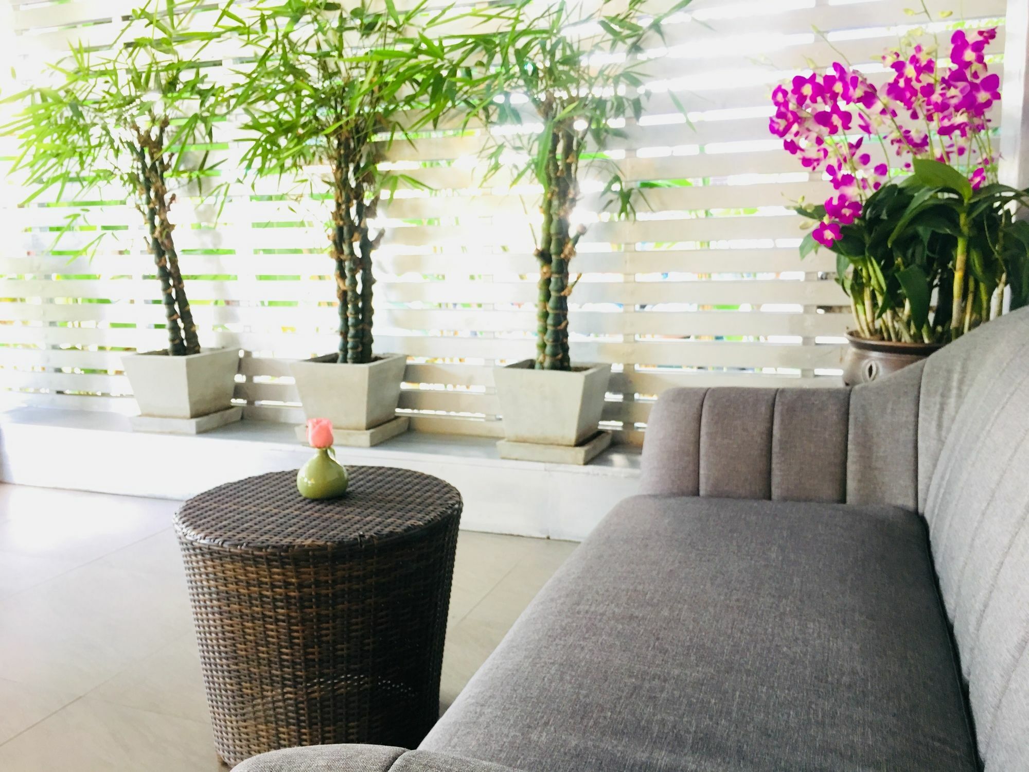 Kavil Guest house 3*
