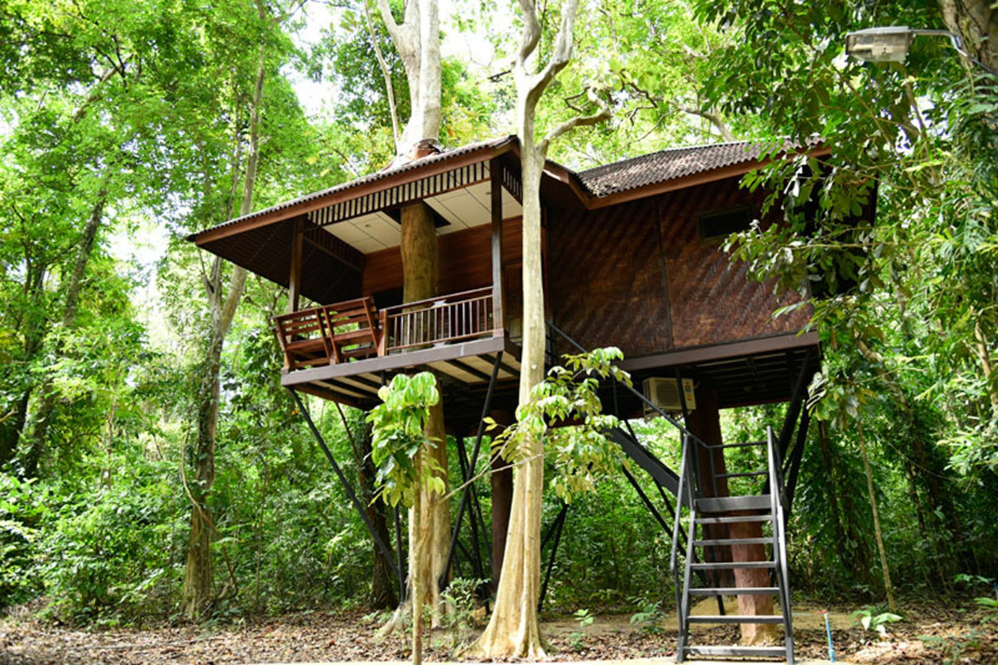 Khao Sok Nature Resort Khao Sok National Park