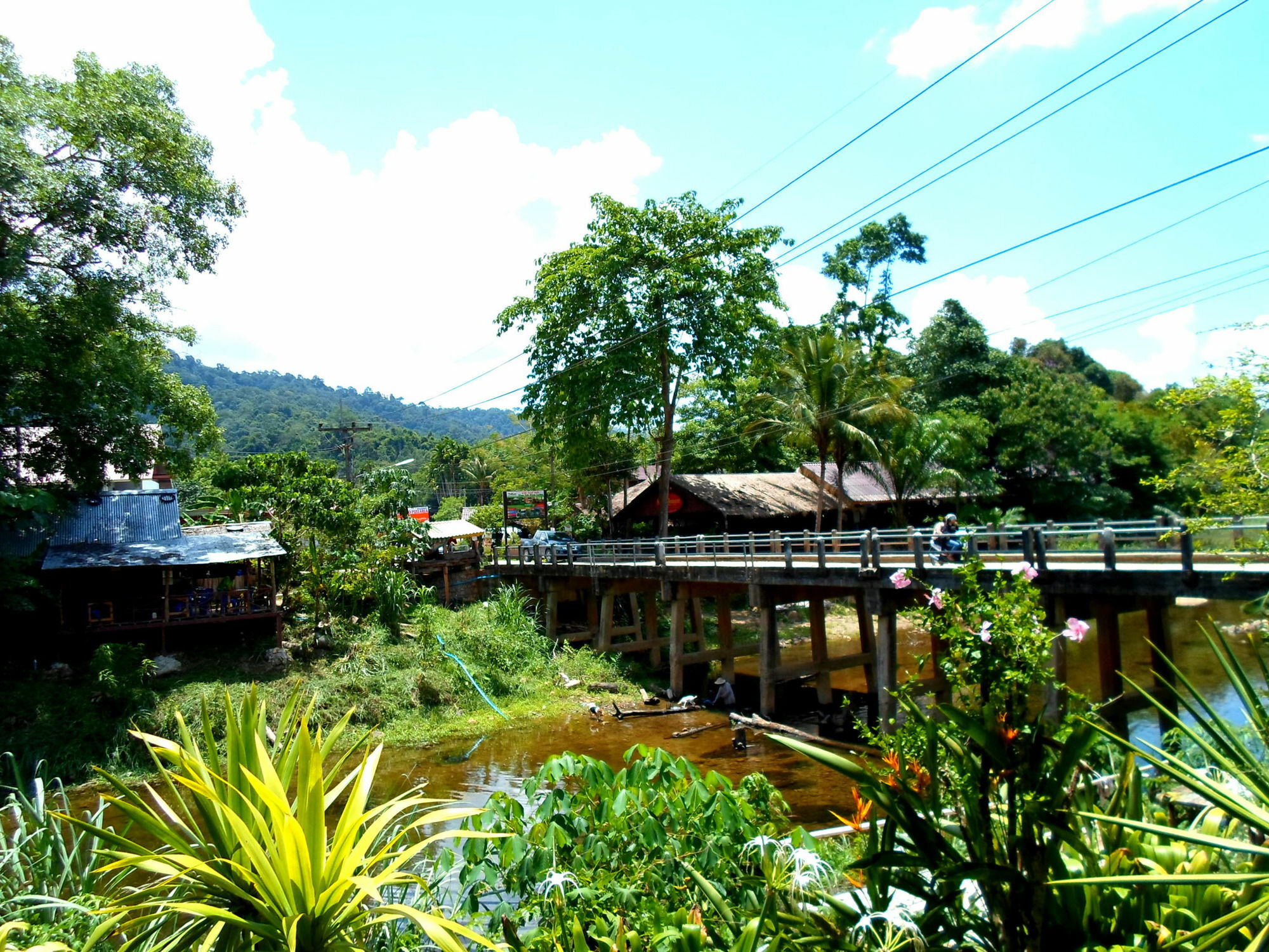 Baan Rimnam Khao Sok Phanom