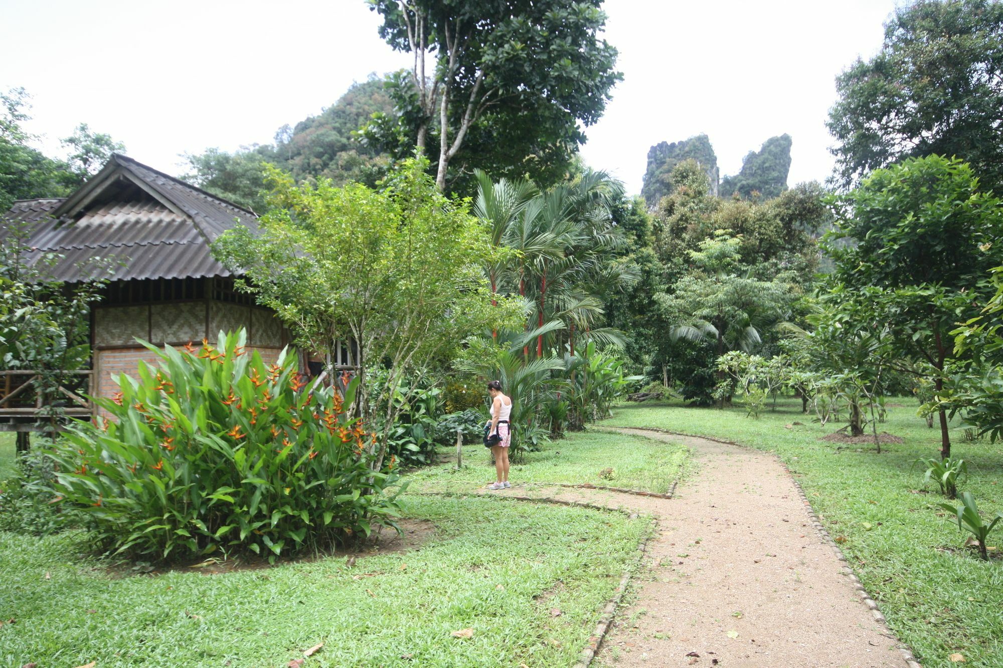 Holiday park Baan Khao Sok Khao Sok National Park