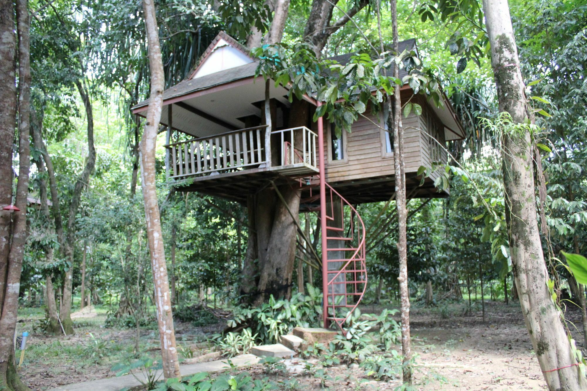 Baan Khao Sok Khao Sok National Park