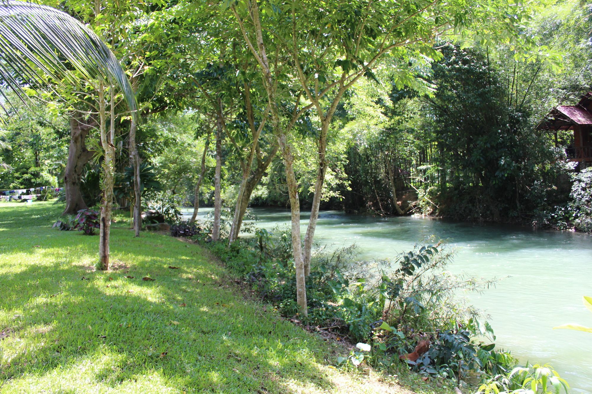 Baan Khao Sok Holiday park *
