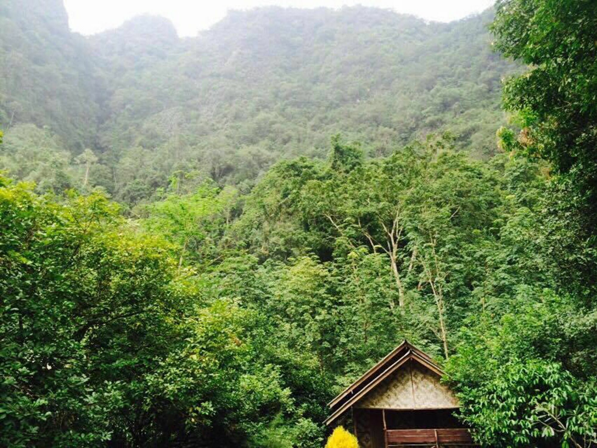 Khao Sok Mountain View Resort