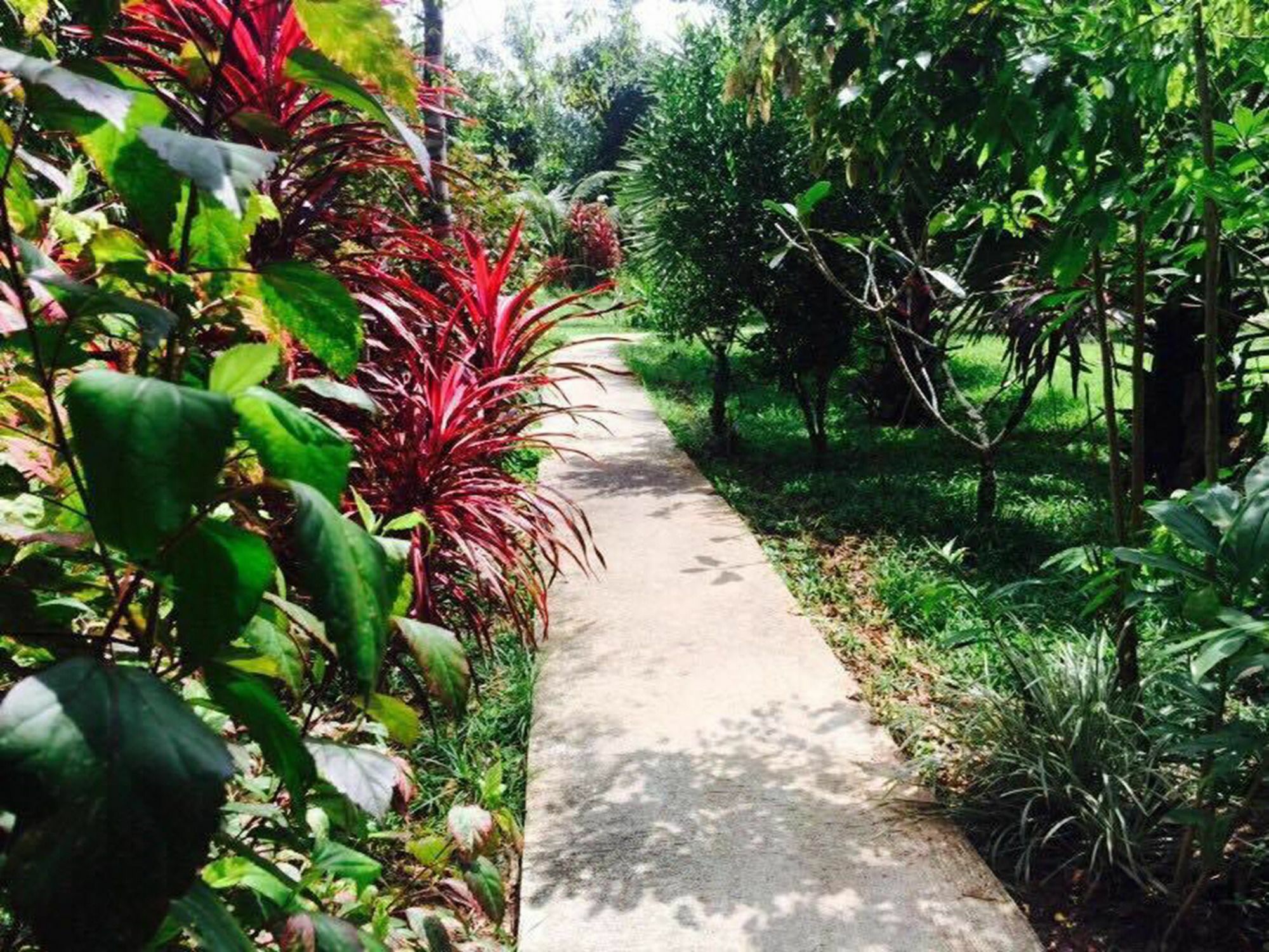 Khao Sok Mountain View 2*