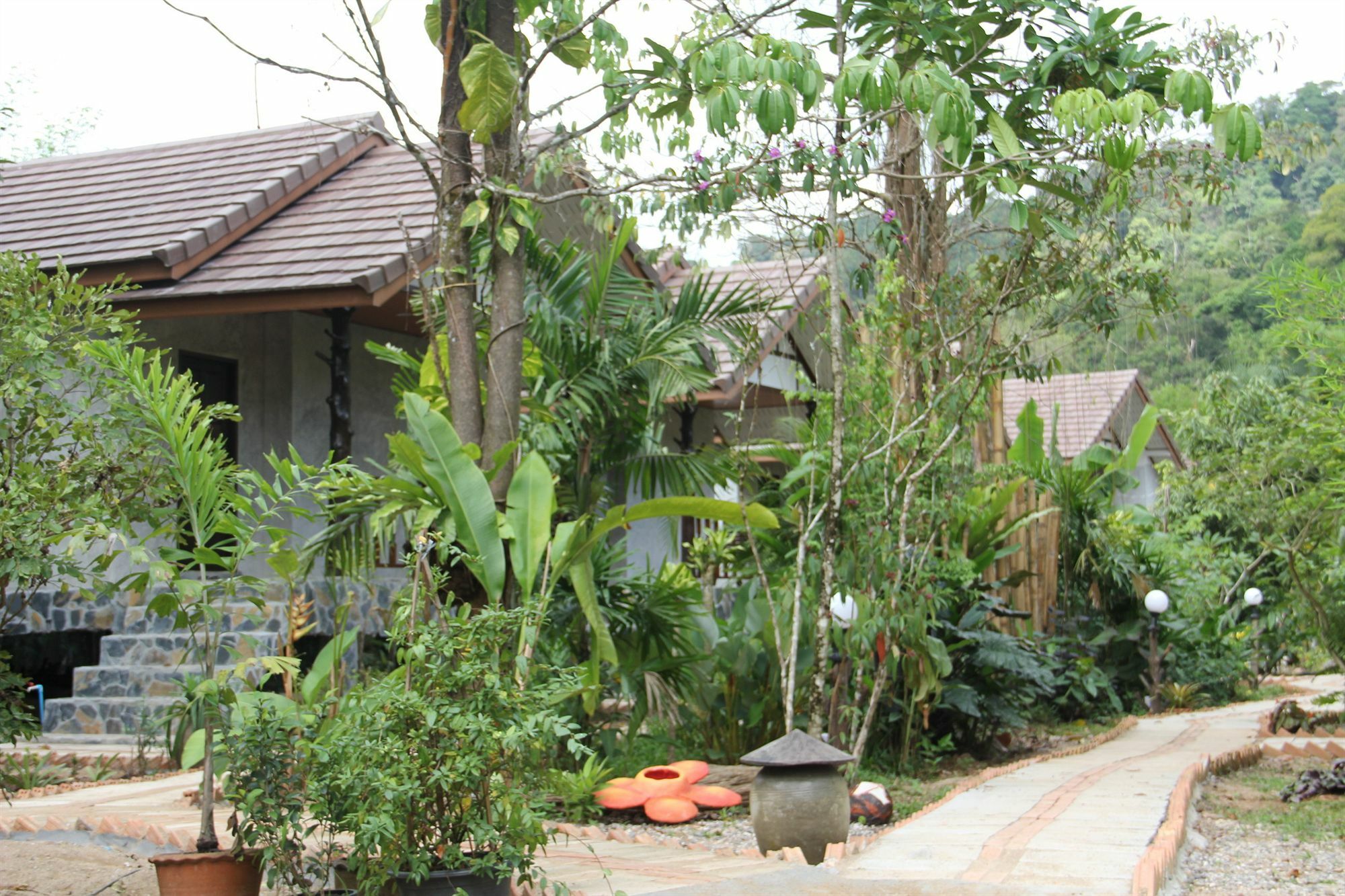 Khao Sok Valley - Sha Certified Resort