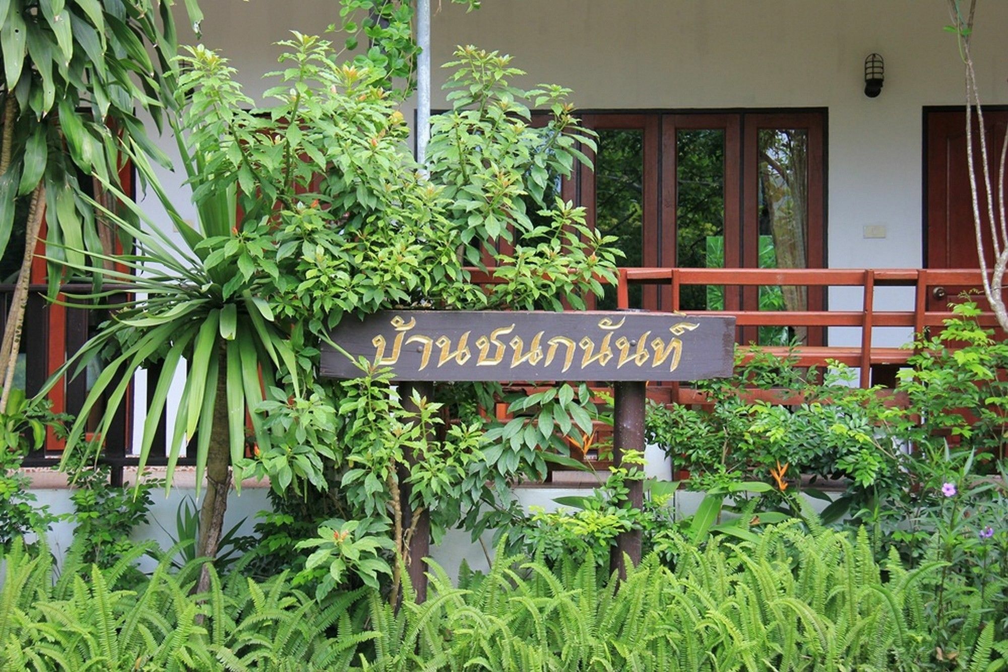 Baan Chanoknunt *