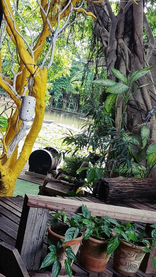 Saikaew Chiang Rai