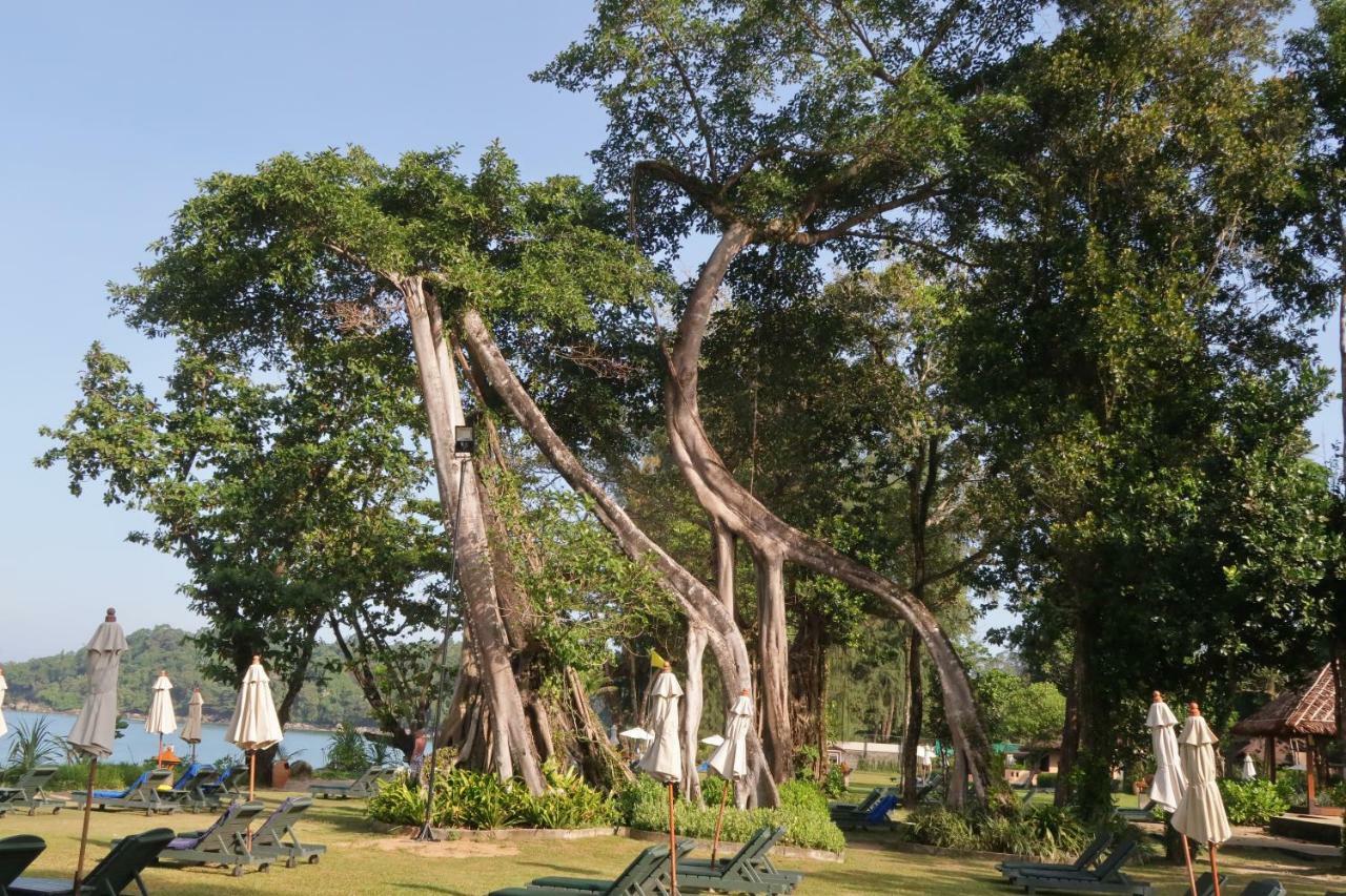 Khaolak Merlin