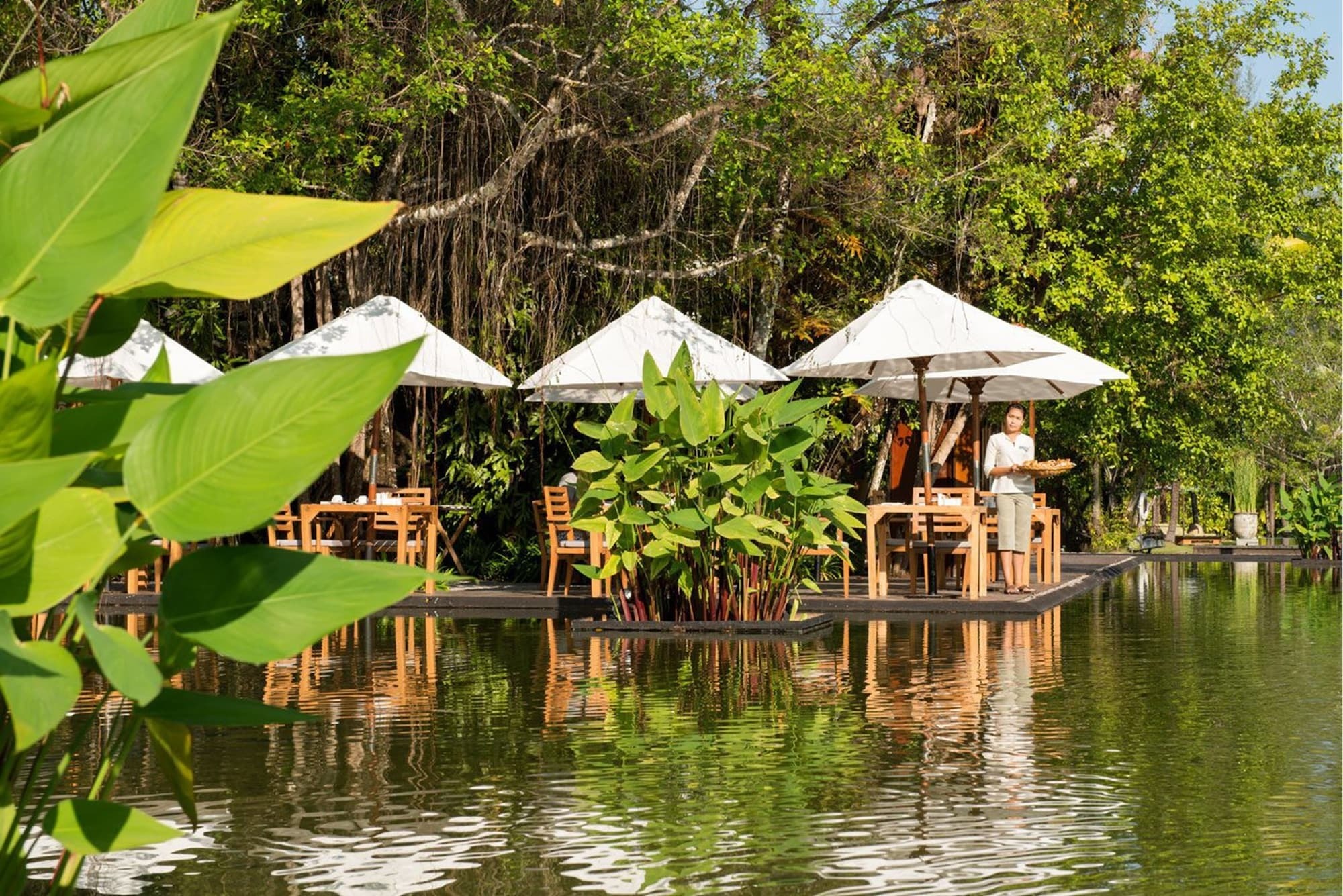 The Sarojin (adults Only) 5*
