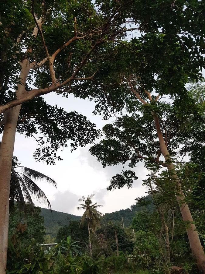 ฺbay Yard Hut Guest house Koh Chang