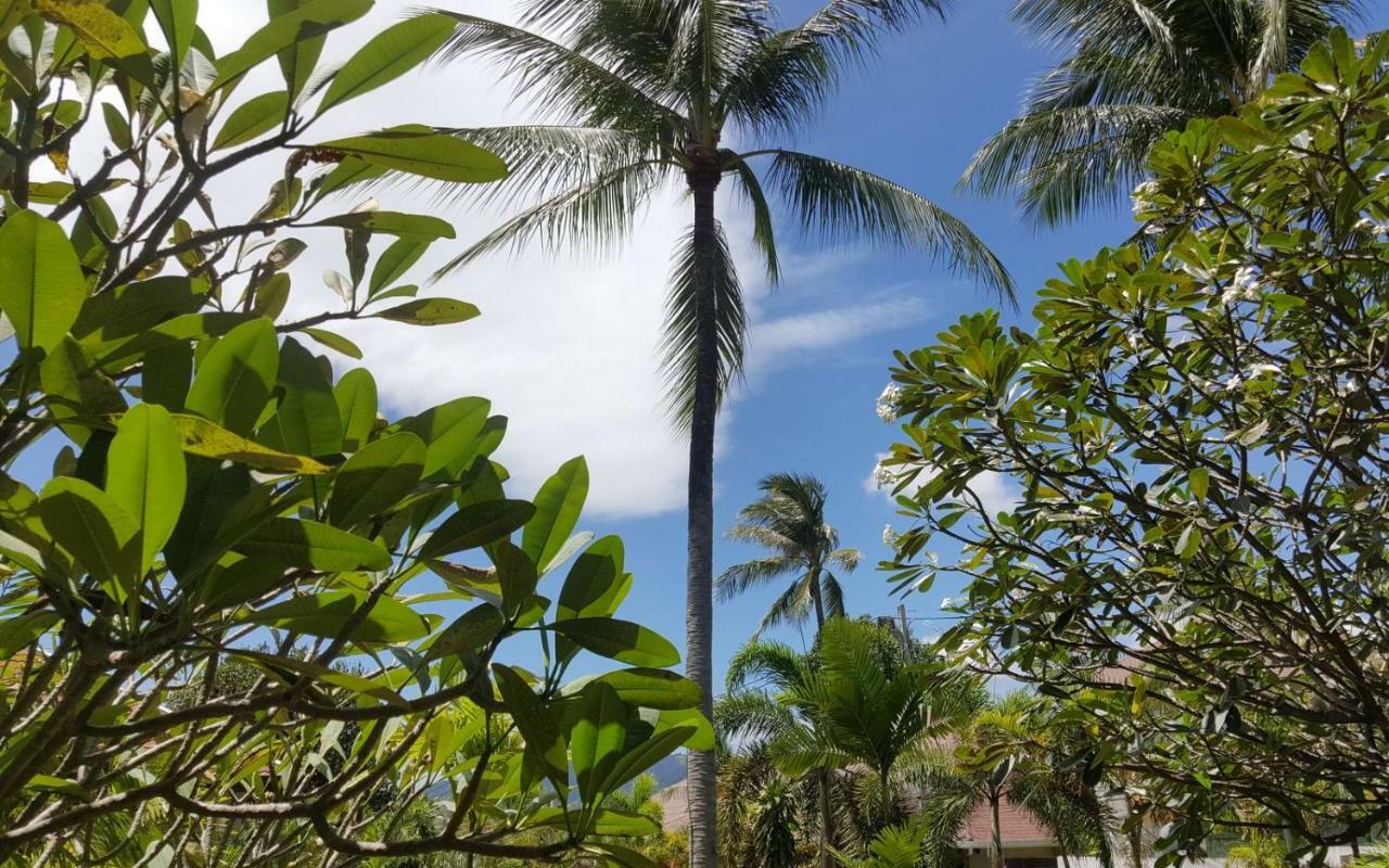 Maenam Hills Samui Resort