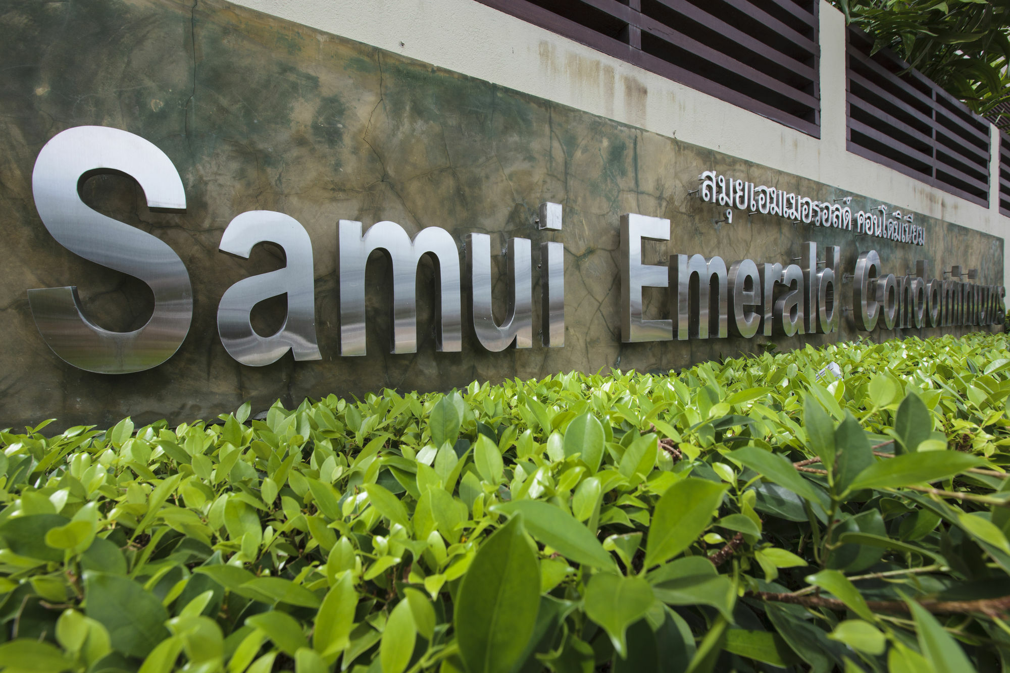 Samui Emerald
