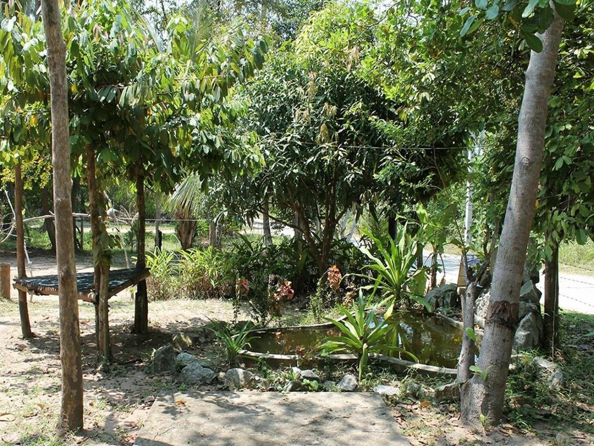 Hotel Jungle Bar & Ko Pha Ngan