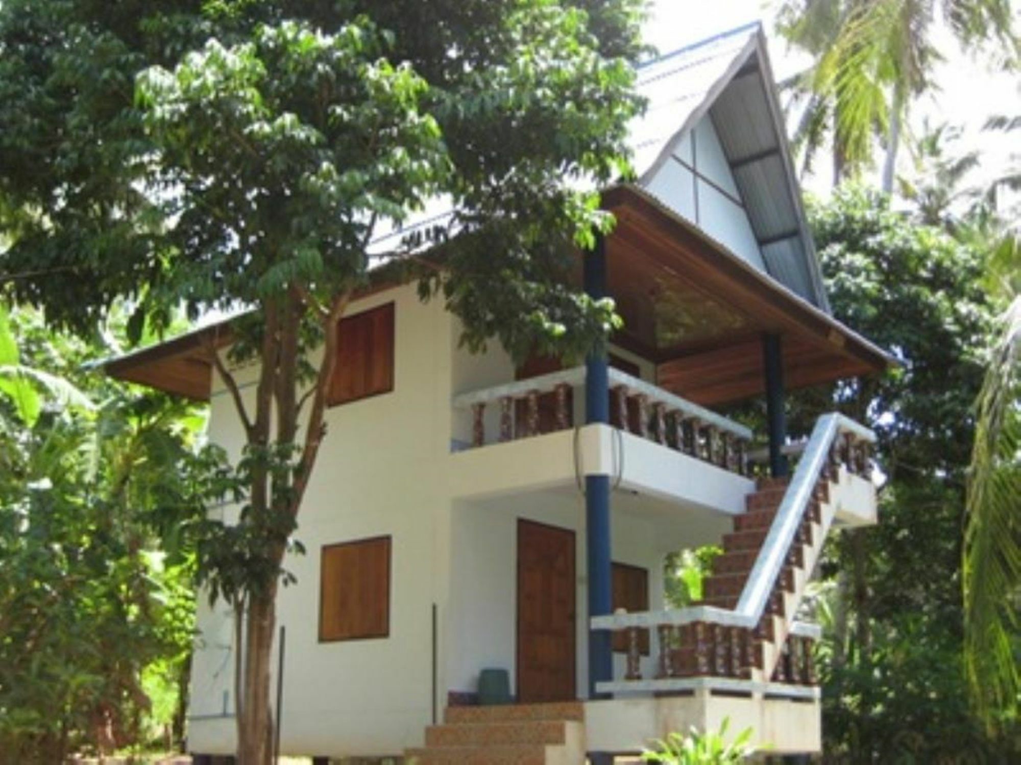 Jungle Bar & Ko Pha Ngan