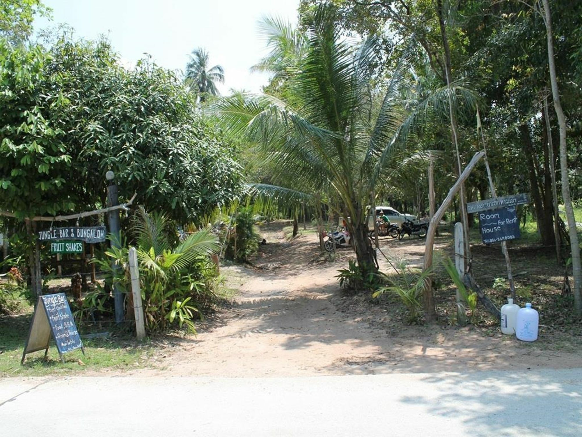 Jungle Bar &