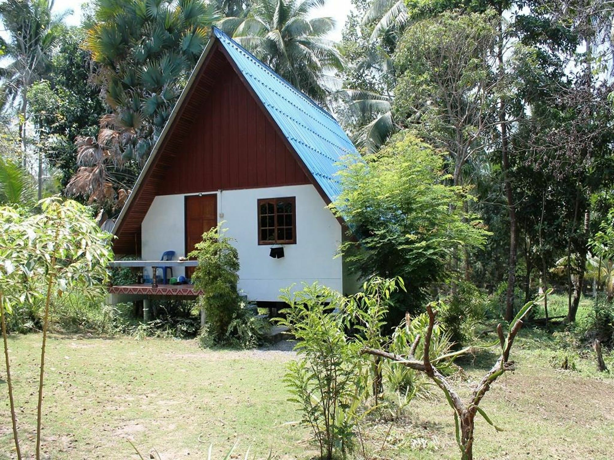 Jungle Bar & Hotel