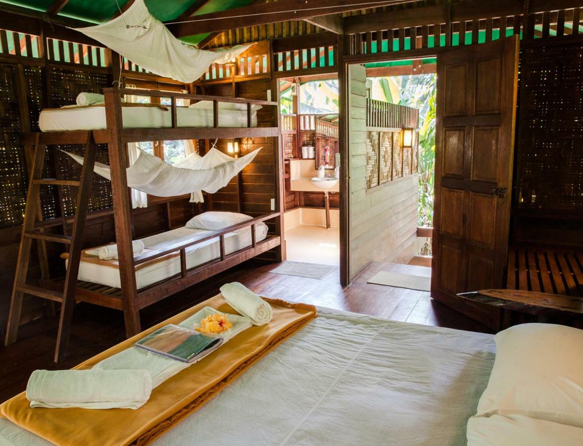 Our Jungle House