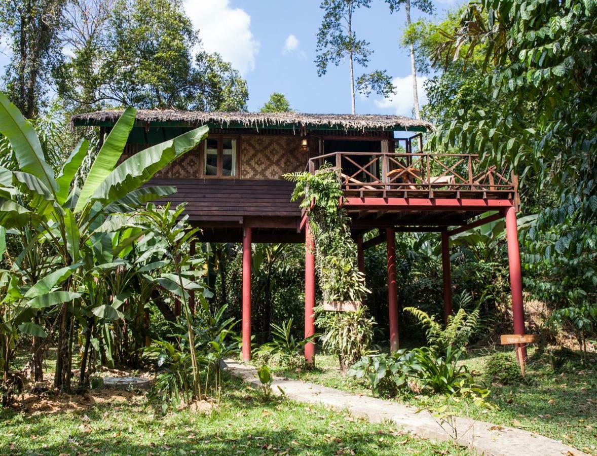 Resort Our Jungle House