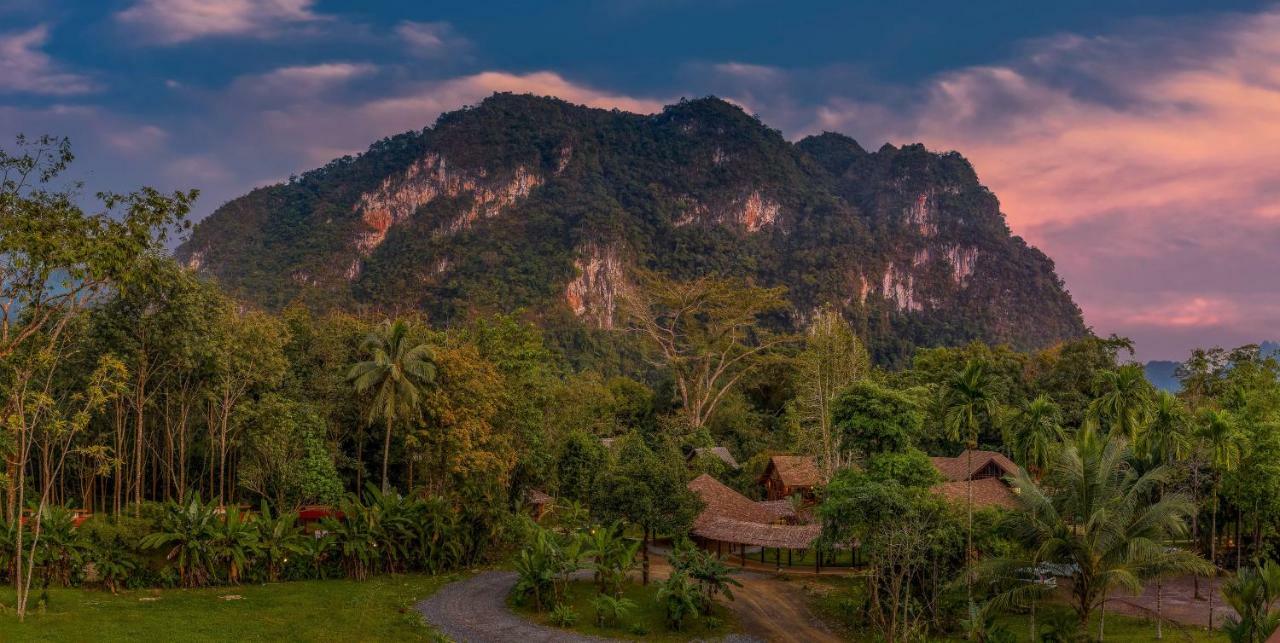 Our Jungle Camp - Eco Resort