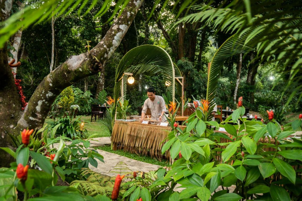 Our Jungle Camp - Eco