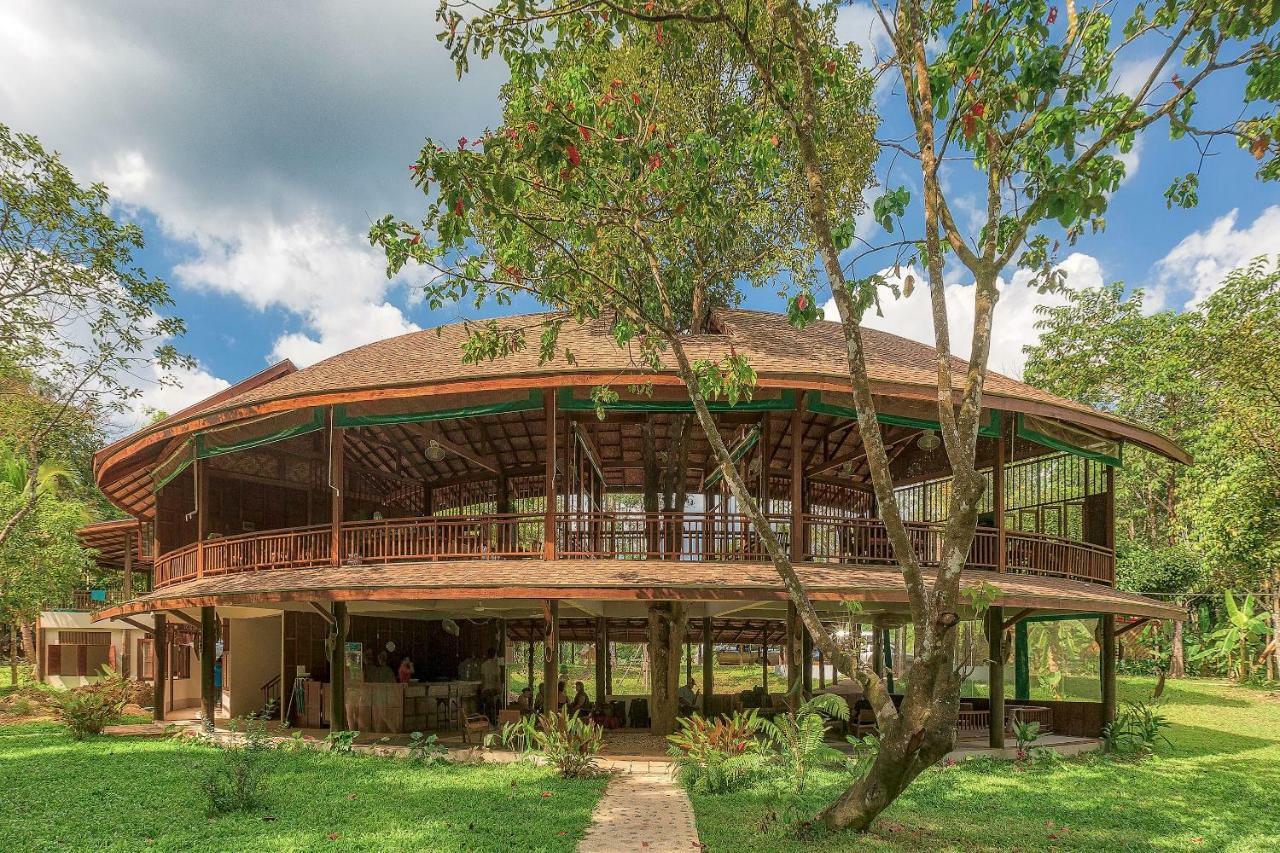 Our Jungle Camp - Eco 3*