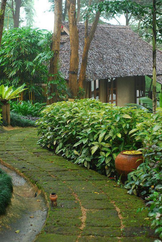 Suanthip Vana 4* Chiang Rai