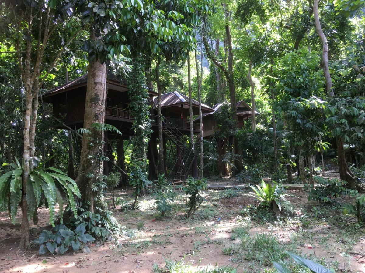 Resort Khao Sok Nature